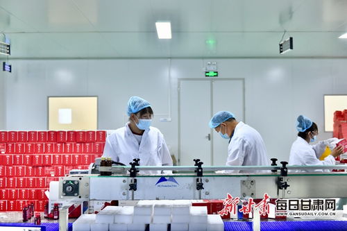 白銀枸杞與信息技術咨詢服務的融合 錢景可期的產(chǎn)業(yè)發(fā)展新路徑